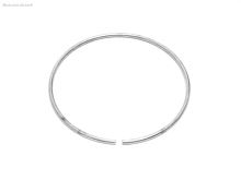 jistící kroužek hadicové spojky B75