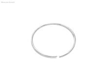 jistící kroužek hadicové spojky C52